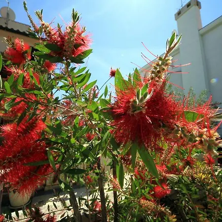 Appartement Borghese