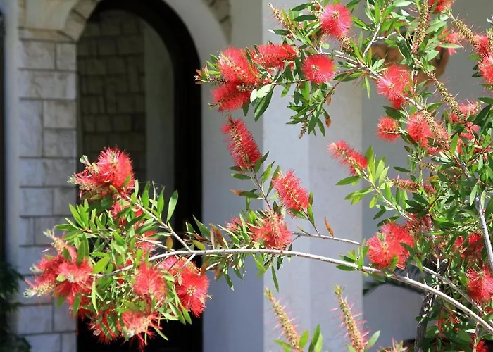 Borghese * Πούλα