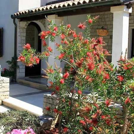 Апартаменты Borghese Пула